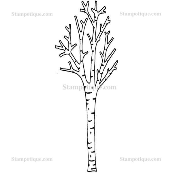 Раскраска береза без листьев