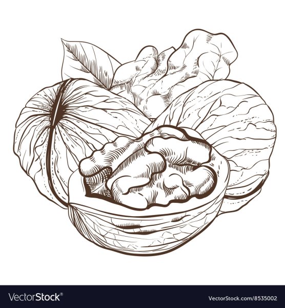 Орехи Графика