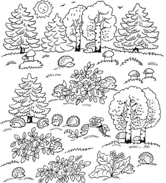 Деревья задания для детей