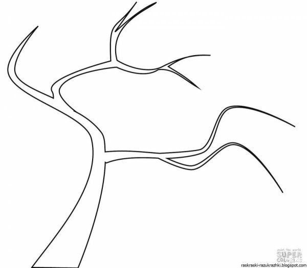 Ветка раскраска