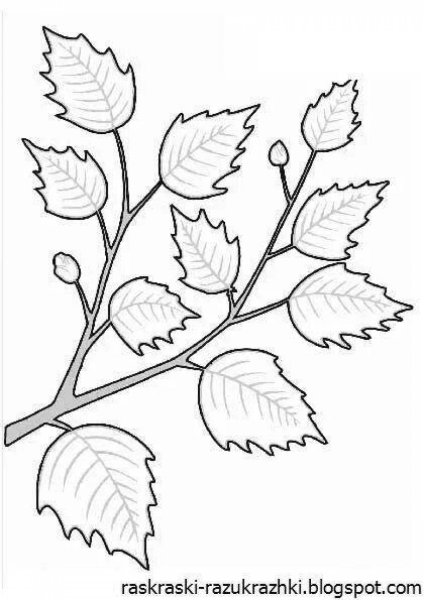 Ветка с листьями раскраска