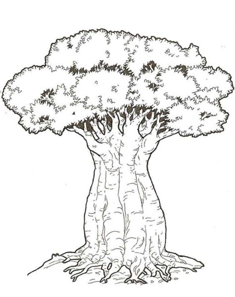 Дерево раскраска