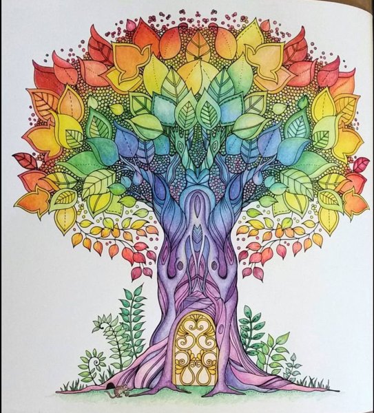 Джоанна Басфорд миры чудес