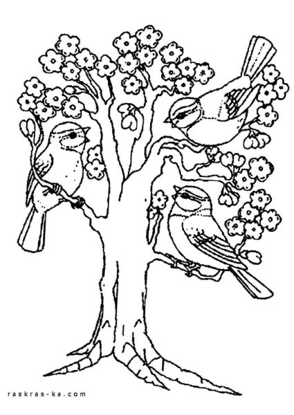 Дерево Весна раскраска для детей