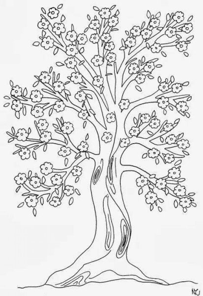 Раскраска цветущие деревья