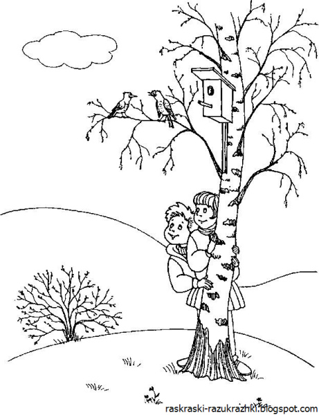 Береза раскраска