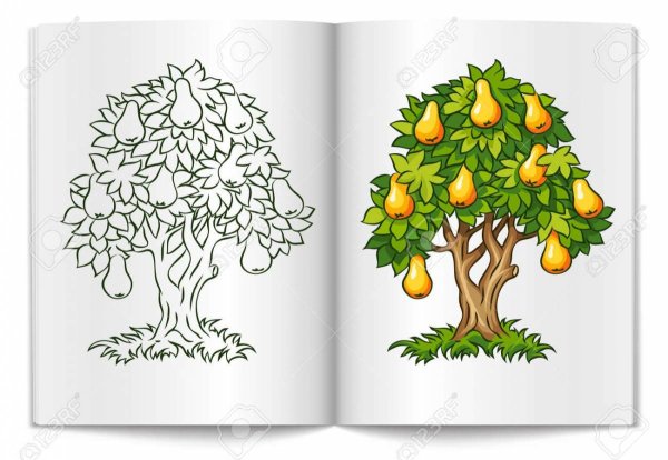 Дерево груша нарисованное