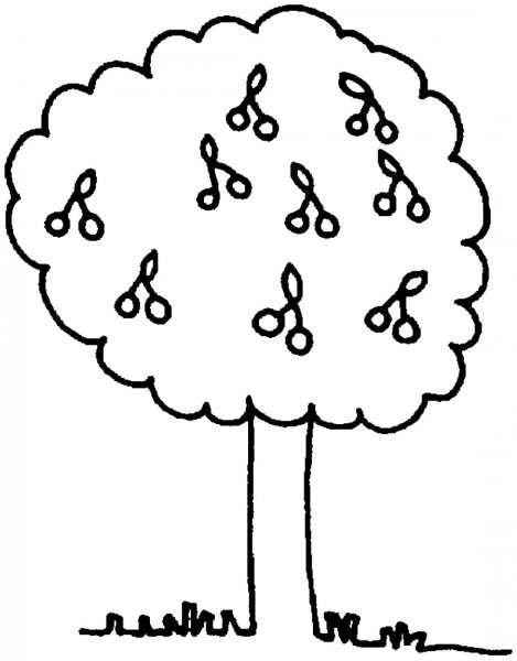 Фруктовые деревья раскраска для детей