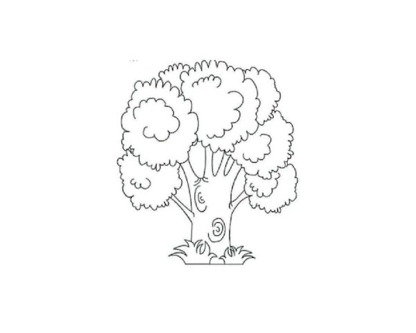 Деревья и кусты раскраска