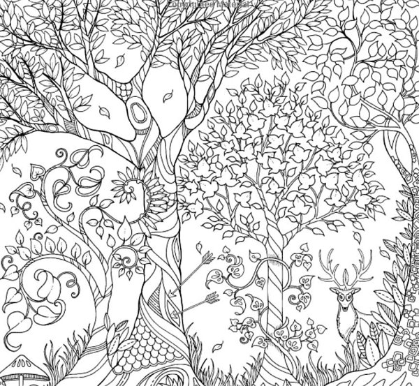 Разукрашки для взрослых