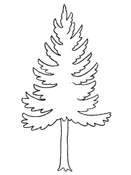 Ель раскраска для детей