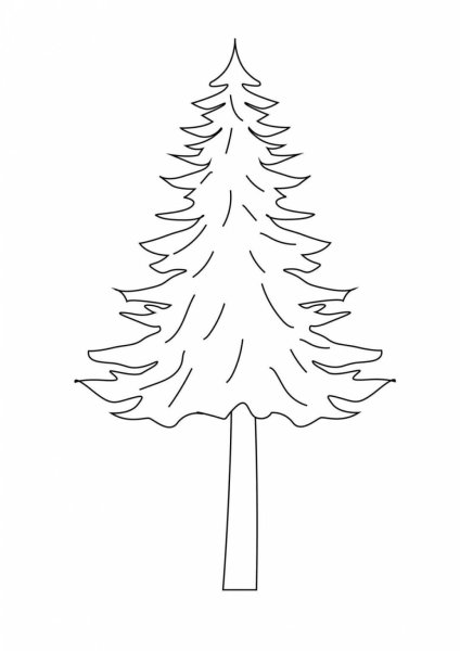 Дерево ель раскраска для детей