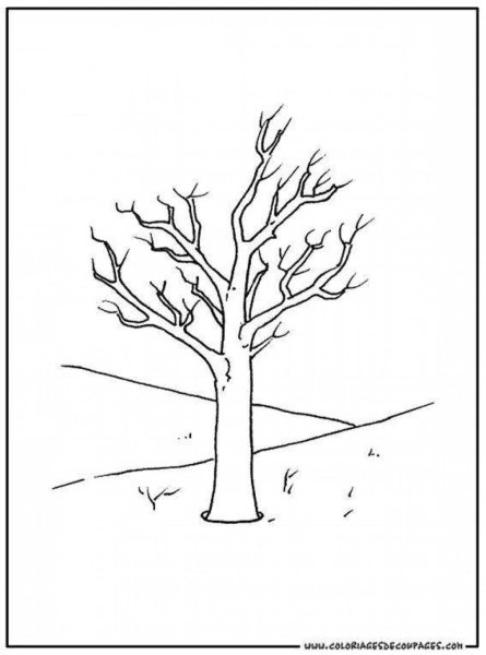 Зимнее дерево раскраска