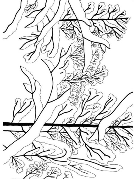 Зимнее дерево раскраска