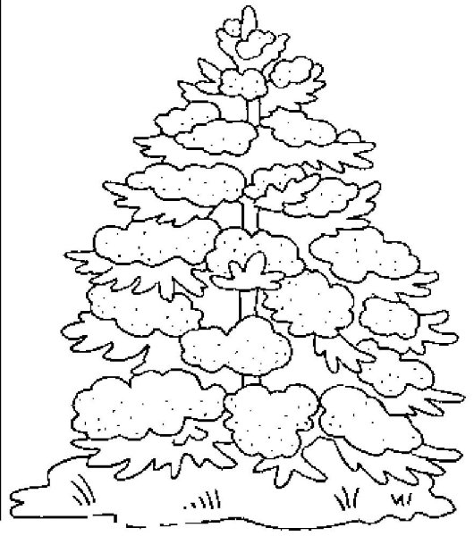 Ель раскраска