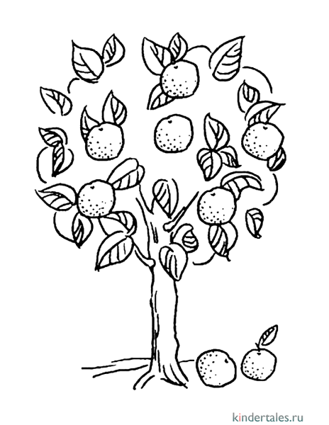 Фруктовые деревья раскраска для детей
