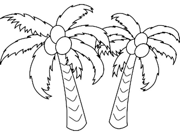 Пальма раскраска