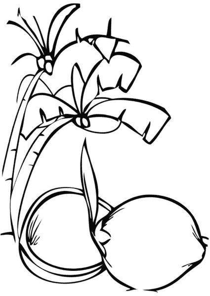 Раскраска Пальма с кокосами