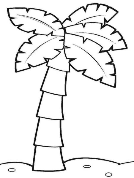 Пальма раскраска
