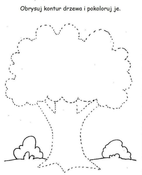 Дерево обводка