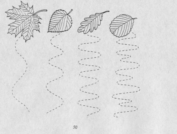 Графомоторика листики