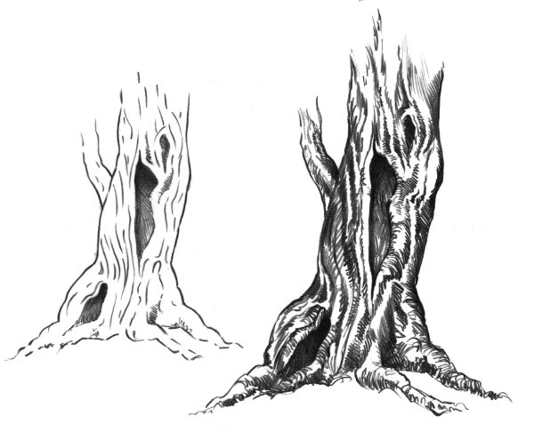 Мертвое дерево рисунок