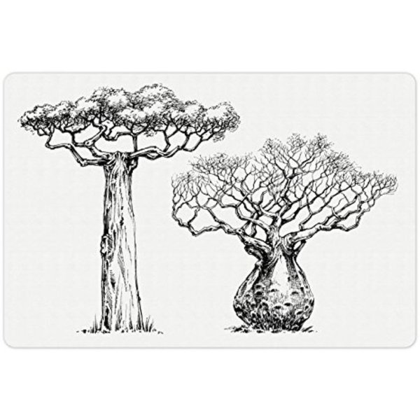 Бутылочное дерево карандашом