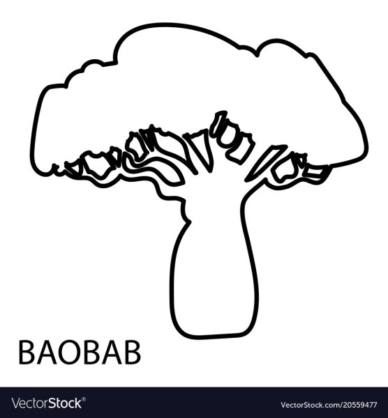 Баобаб дерево раскраска