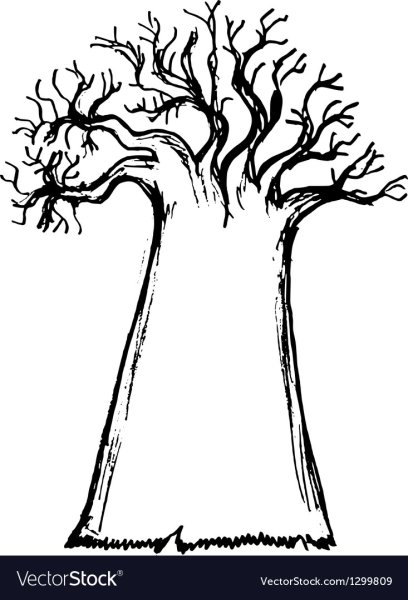 Бутылочное дерево на белом фоне