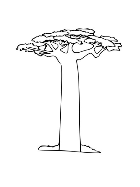Баобаб дерево раскраска