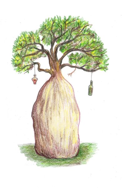 Нарисовать бутылочное дерево карандашом