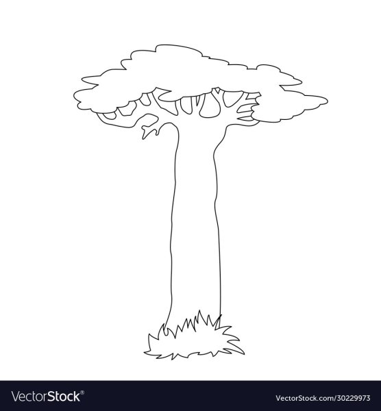 Баобаб дерево раскраска
