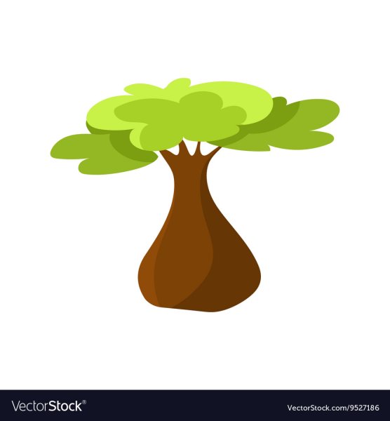 Бутылочное дерево рисунок