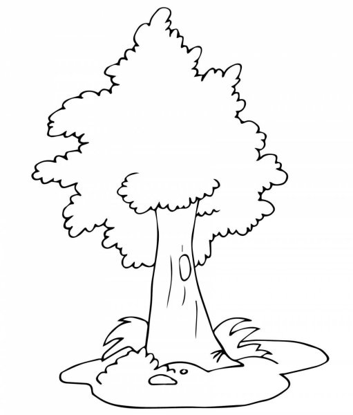 Дерево раскраска для детей