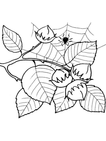 Дерево орешник раскраска