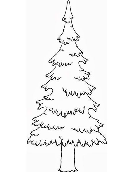 Ель раскраска