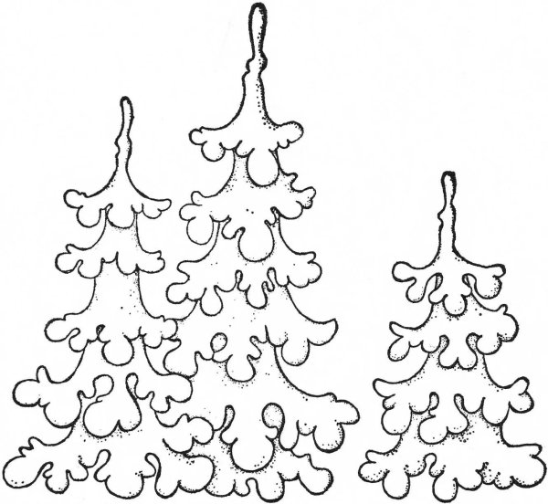 Зимнее дерево раскраска