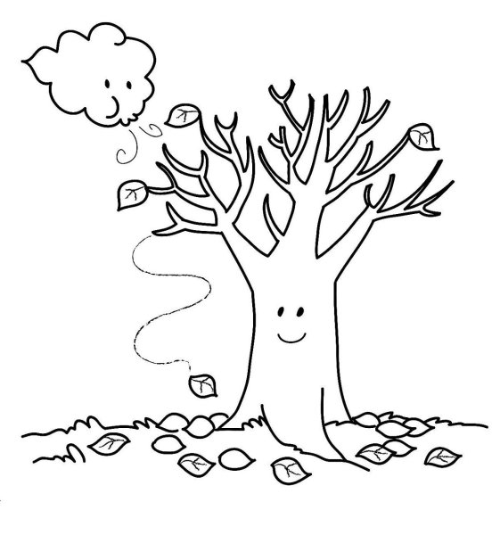 Осеннее дерево раскраска для детей