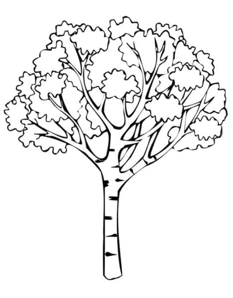 Дерево раскраска