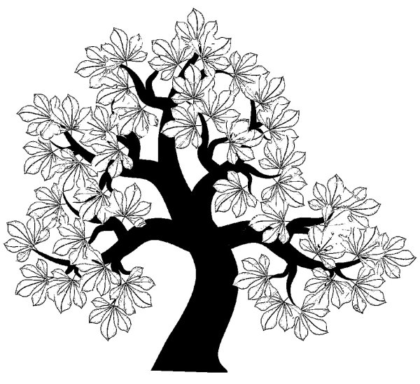 Дерево раскраска