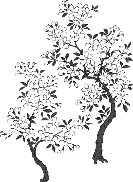 Цветущее дерево Графика