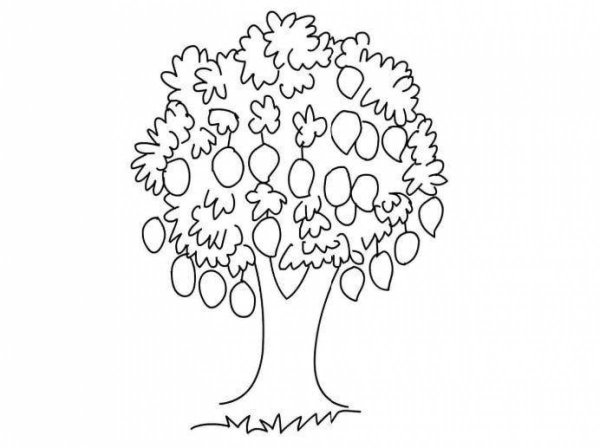 Генеалогическое дерево для раскрашивания