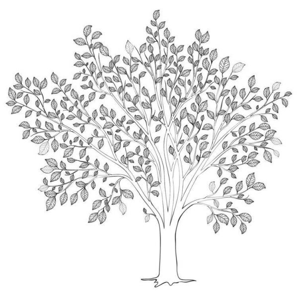 Нарисовать листья деревьев карандашом