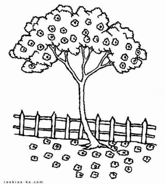 Дерево яблоня раскраска
