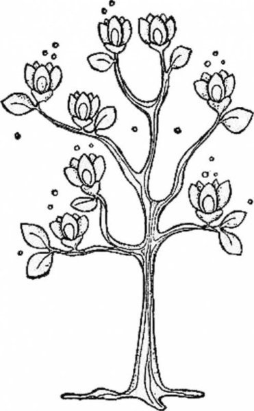 Нарисовать магнолиевое дерево