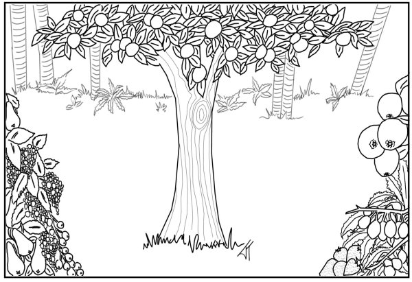 Сад с деревьями раскраска