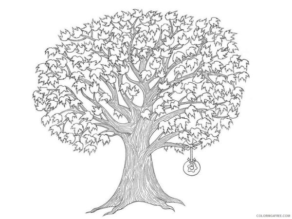 Дерево счастья