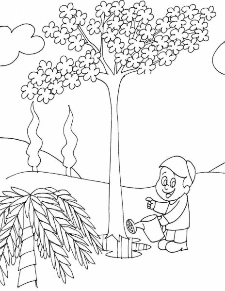 Ту би Шват раскраска