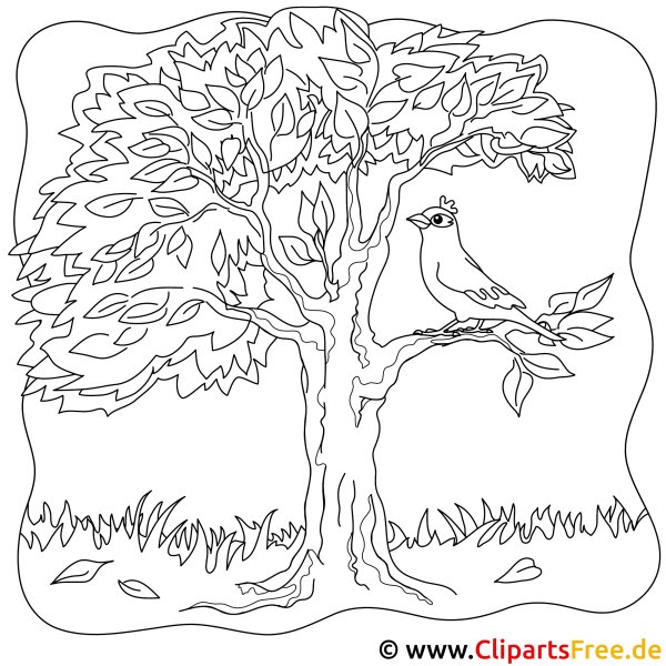 Птица на дереве раскраска