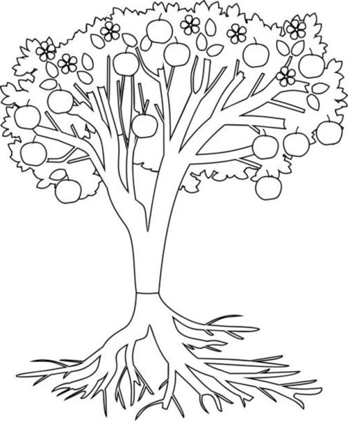 Дерево с корнями для раскрашивания